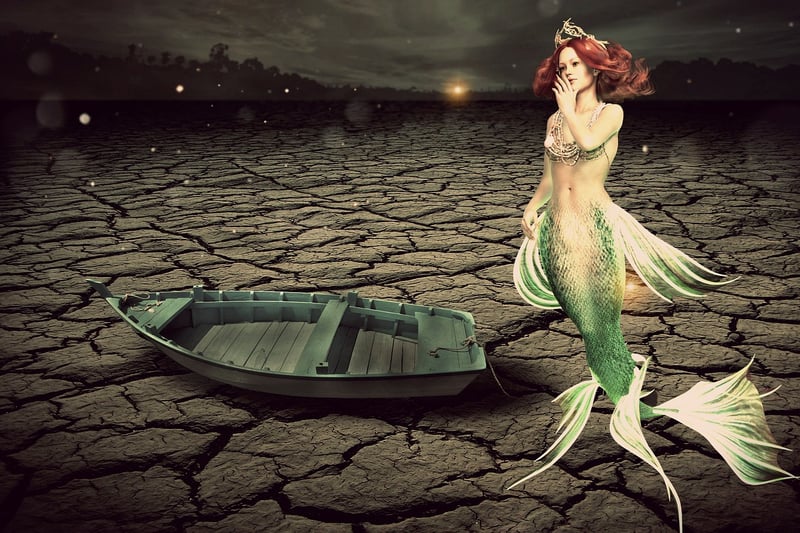 Mermaid Costume